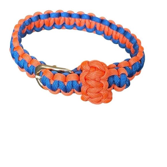 Vibrant Orange and Blue Dog Collar - Picture 2 of 10